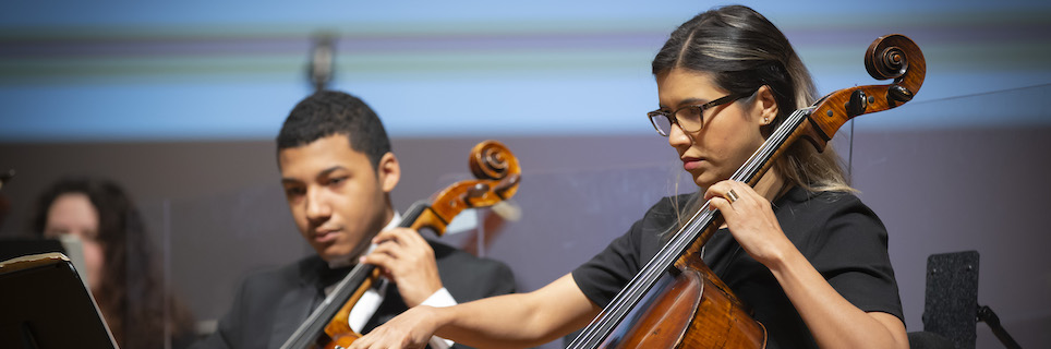 Valdosta Symphony Orchestra